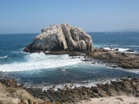 /album/cielo-andino-turismo-chile/img-2135-medium-medium-jpg/